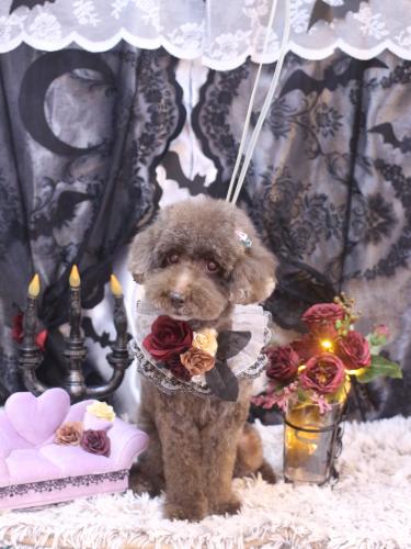 20231005きょうのちゃん